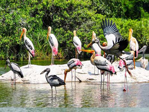 Chilika