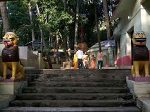 narayani