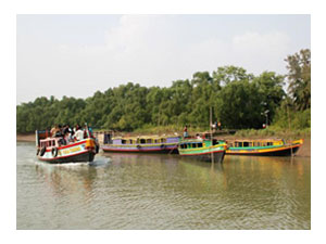 bhitarkanika