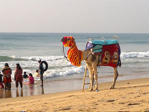 beach